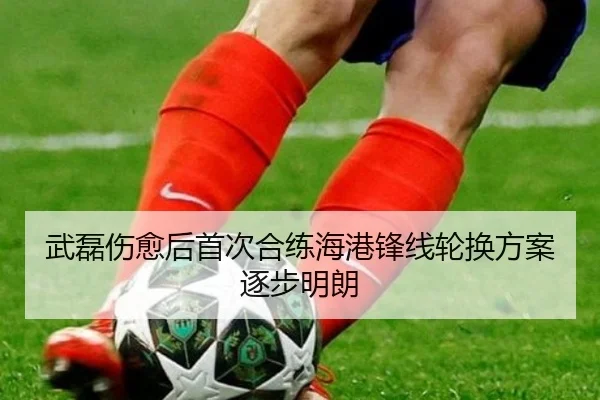 武磊伤愈后首次合练海港锋线轮换方案逐步明朗
